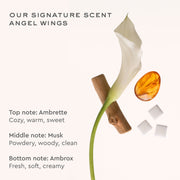 our signature scent angel wings top note ambrette cozy warm sweet middle note musk powdery wood clean bottom note ambrox fresh soft creamy