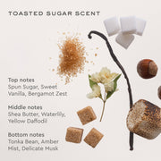 Toasted Sugar Scent
Top notes
Spun Sugar, Sweet Vanilla, Bergamot Zest
Middle notes
Shea Butter, Waterlily, Yellow Daffodil
Bottom notes
Tonka Bean, Amber Mist, Delicate Musk