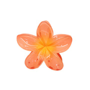 Super Bloom Clip in Peach Spritz